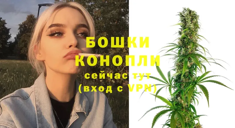 нарко площадка телеграм  где продают наркотики  Шадринск  Конопля SATIVA & INDICA 